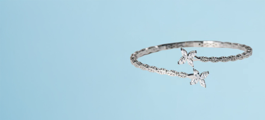 cms-banner-2.jpg